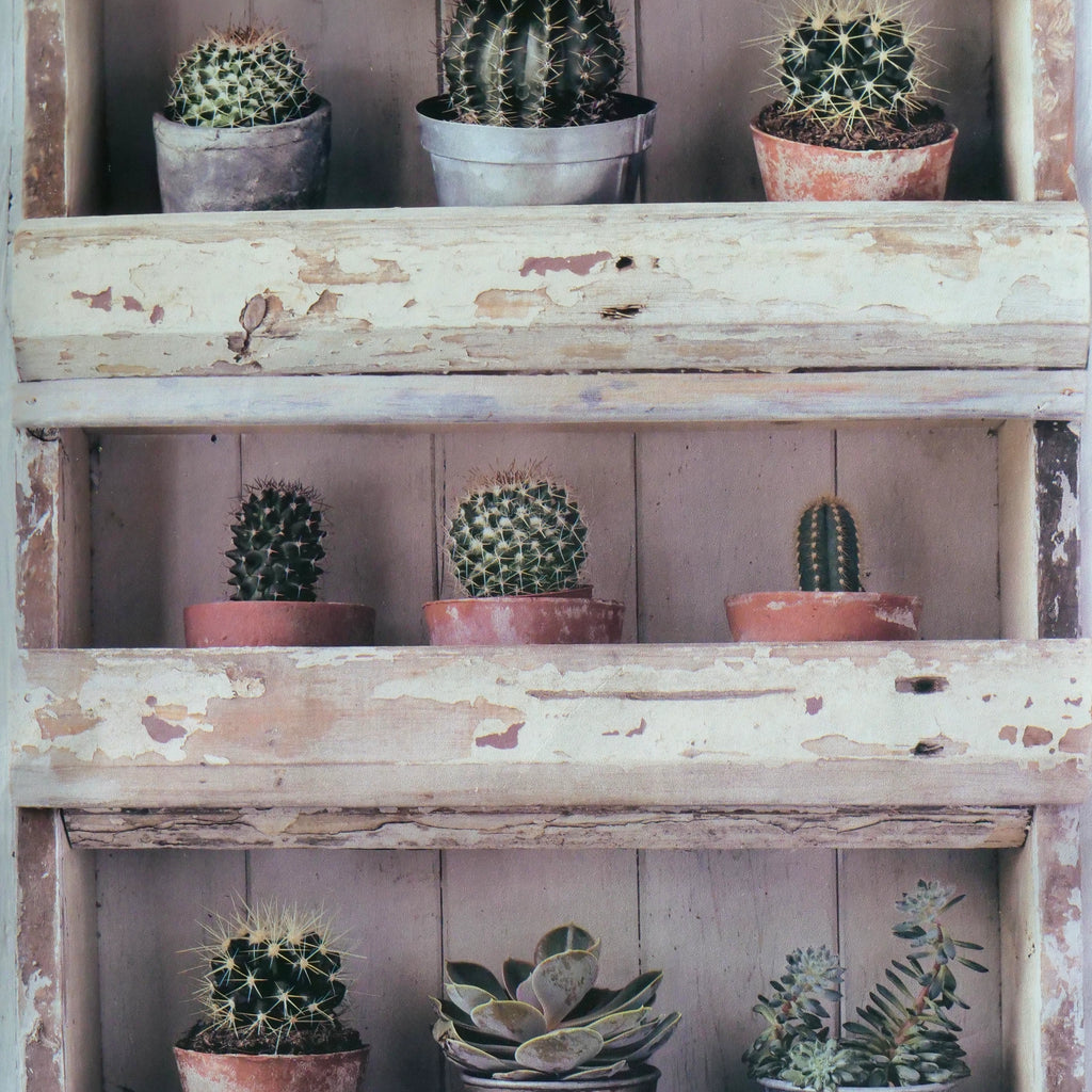 Plantenkast (set van 4 rollen)