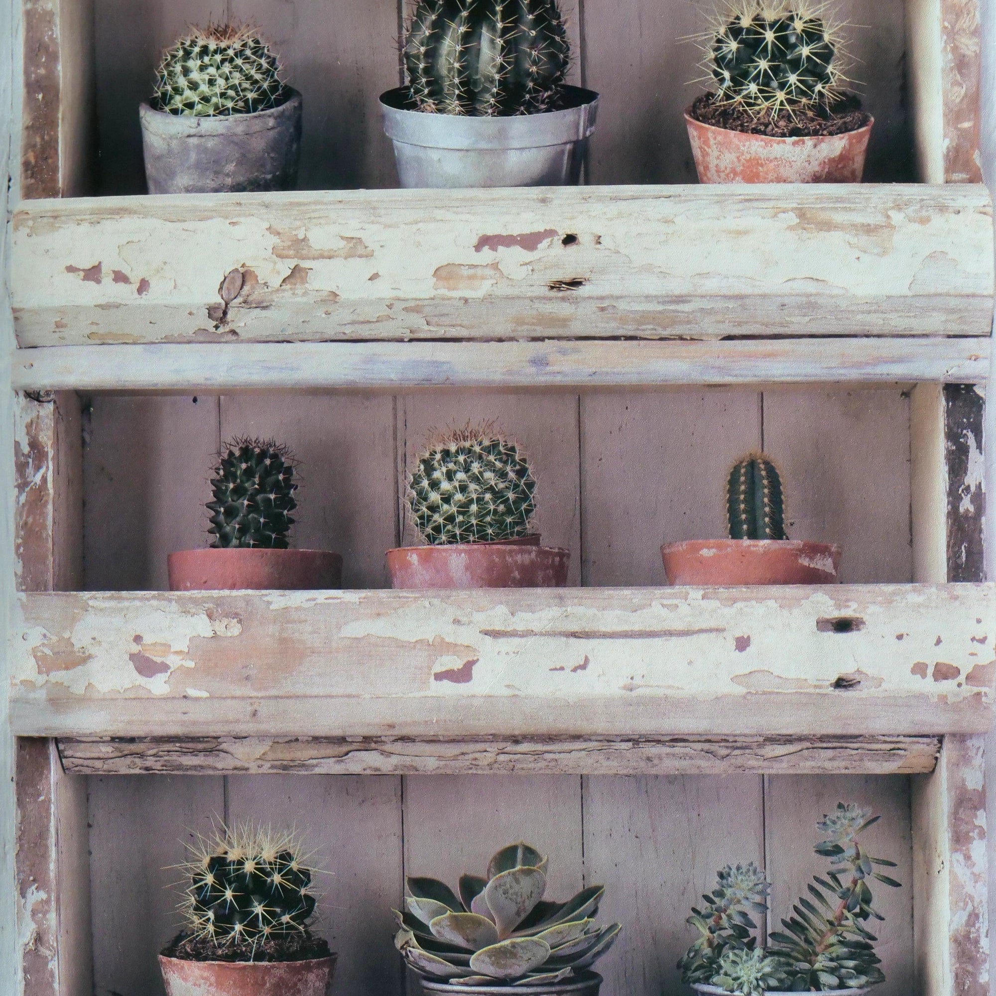 Plantenkast (set van 4 rollen) Hoofdafbeelding