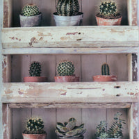 Plantenkast (set van 4 rollen)