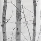 Winters berkenbos (per rol)