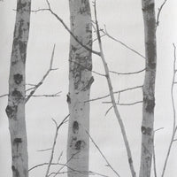 Winters berkenbos (per rol)