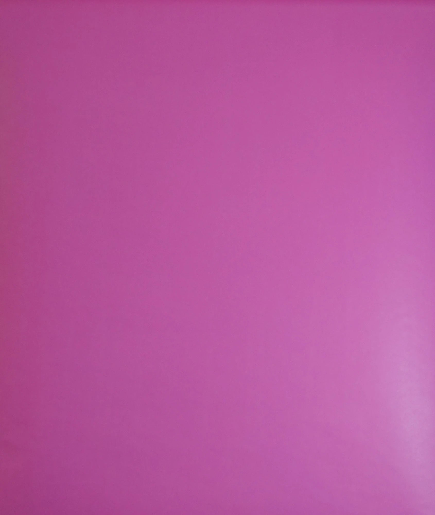 Roze effen (set van 4,5 rollen) Hoofdafbeelding